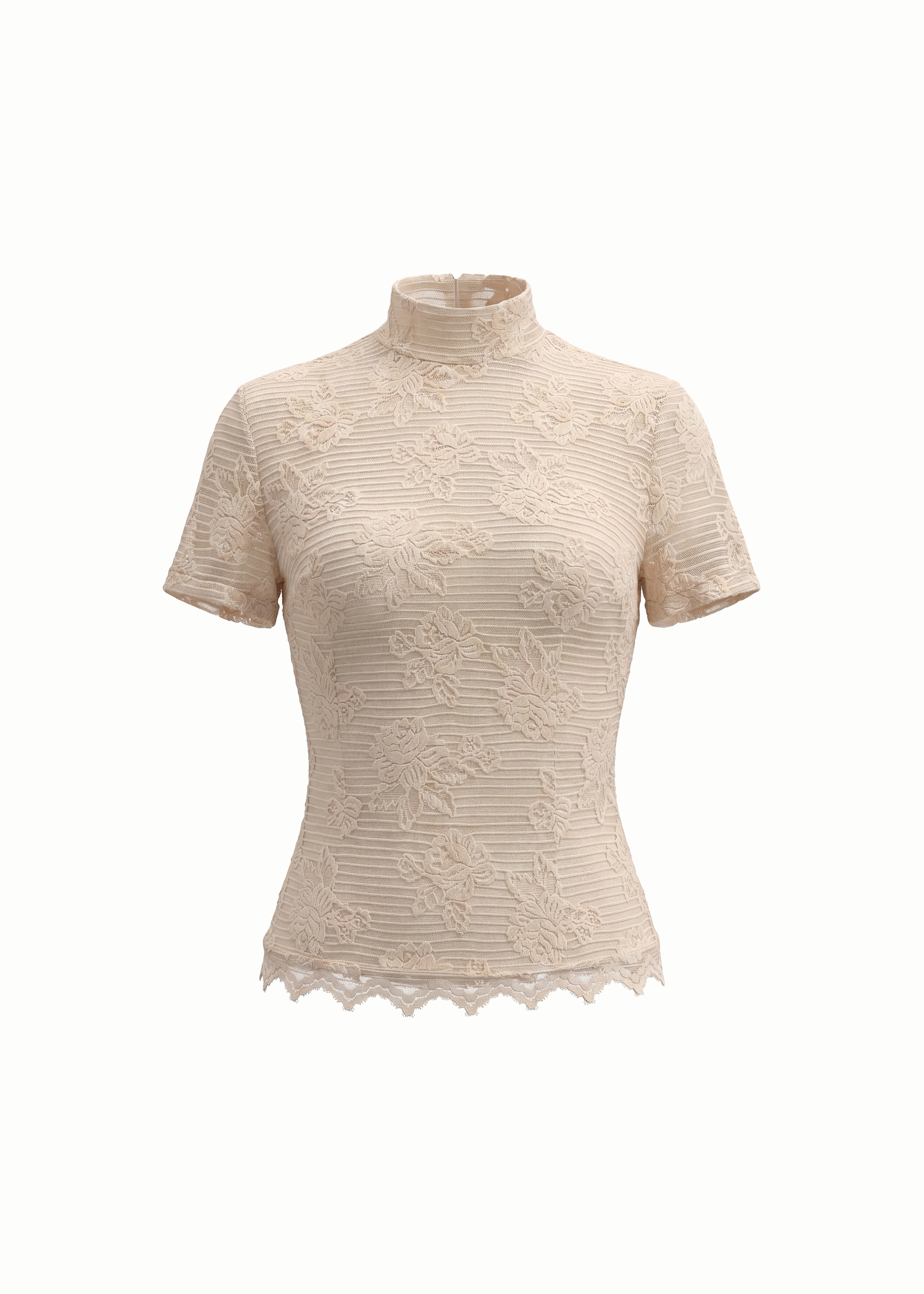 Sheer Lace Knit Short Sleeve Top in Beige